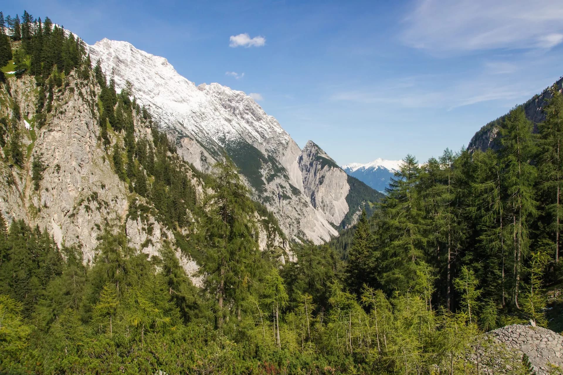 Mountain valley descent with snow-dusted peaks, rocky slopes, and dense green pine forest under blue sky.