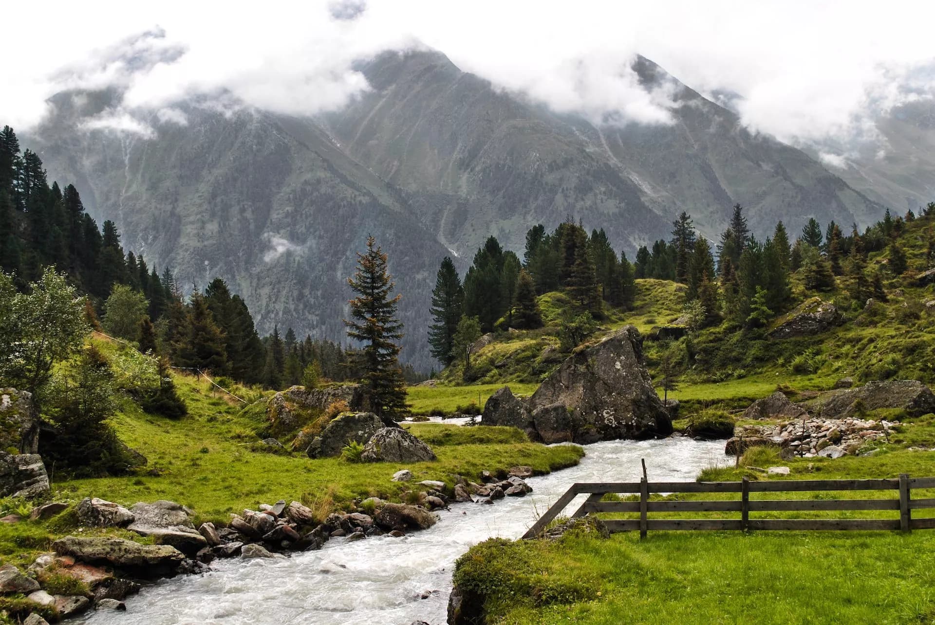 Rushing mountain stream through green alpine meadow with pine trees and cloudy peaks, Stubai Valley.