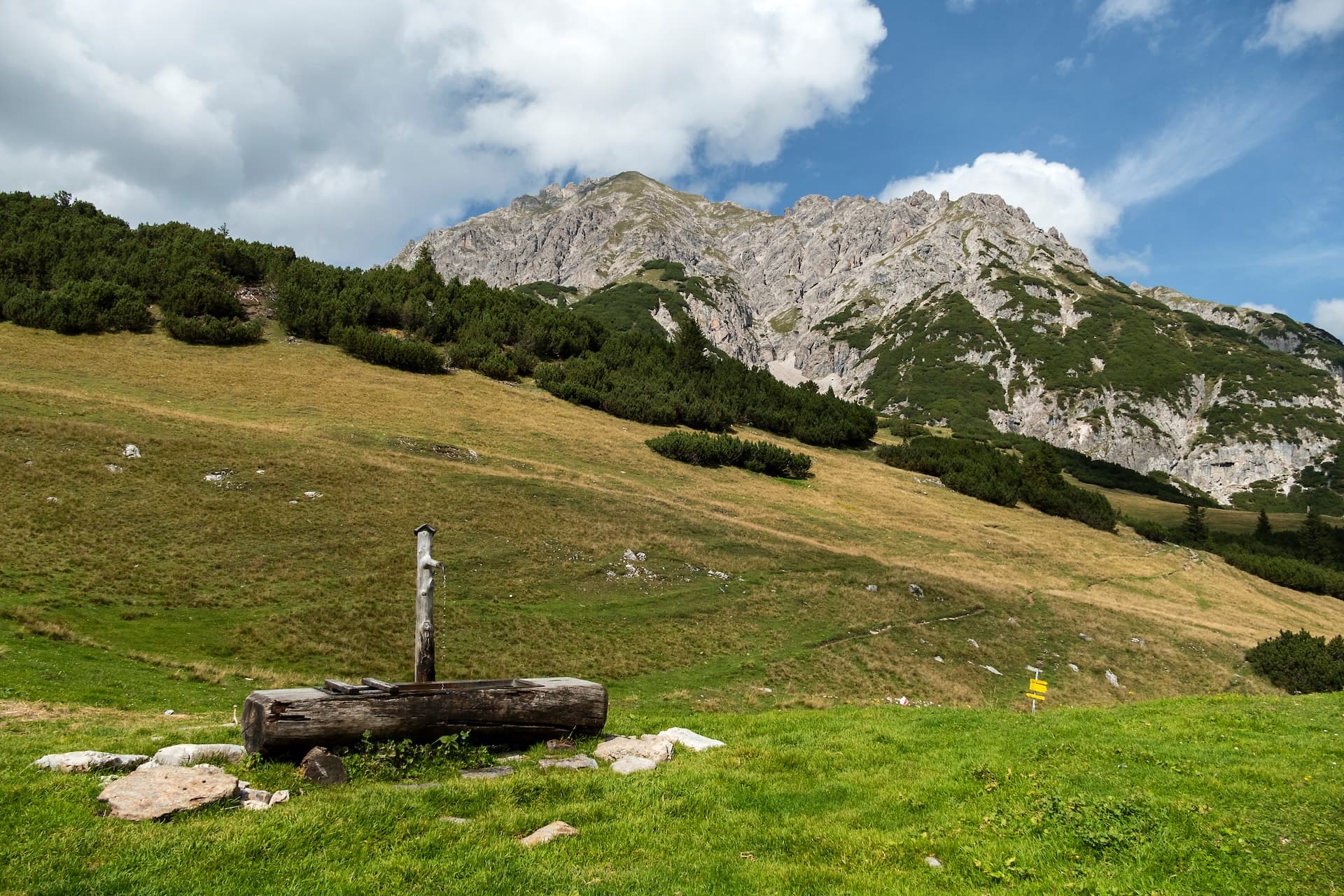 Wooden water trough and spout on grassy slope below rocky mountain on Goetheweg trail.