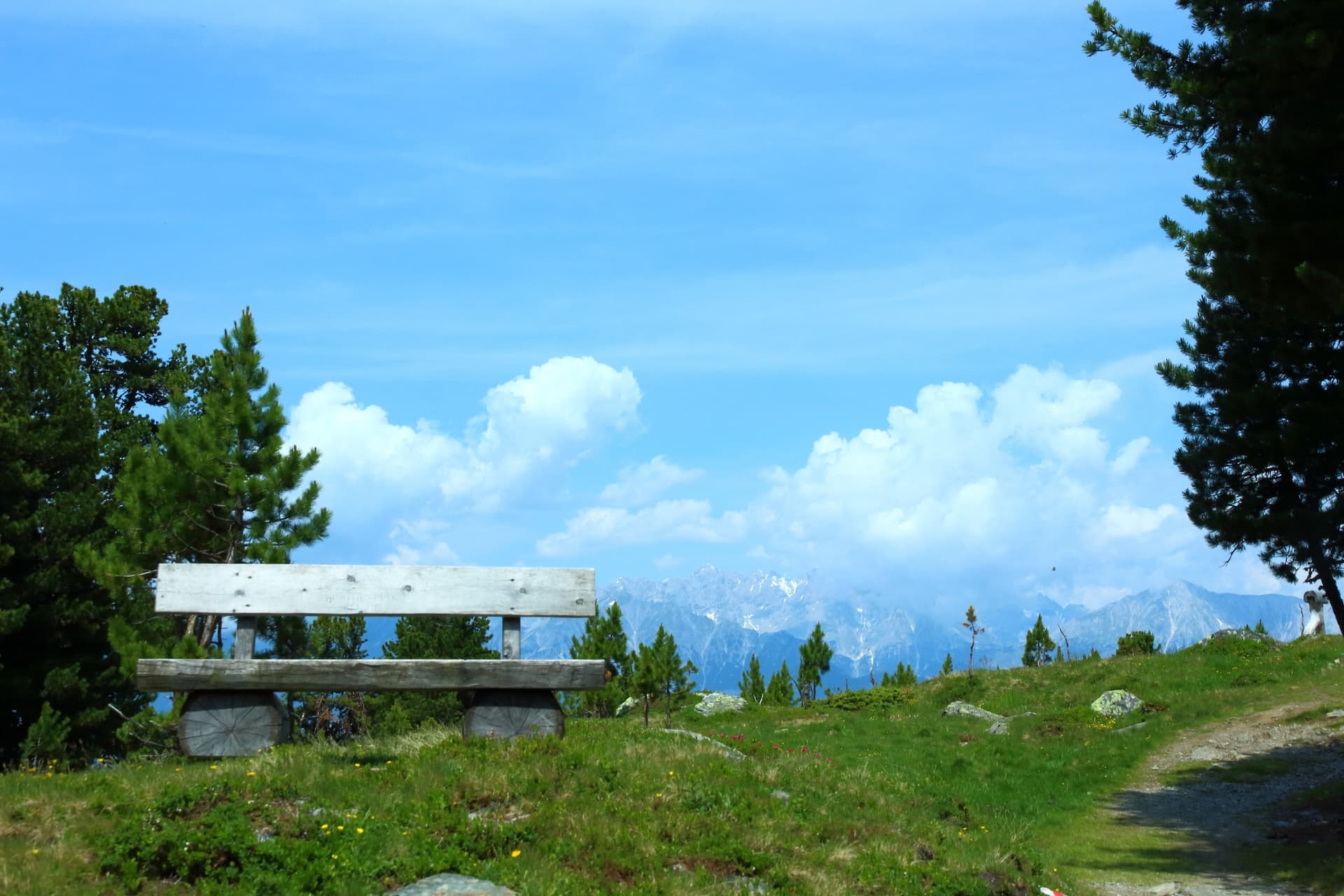 Wooden bench overlooking snow-capped mountains from a grassy alpine trail on Zirbenweg.