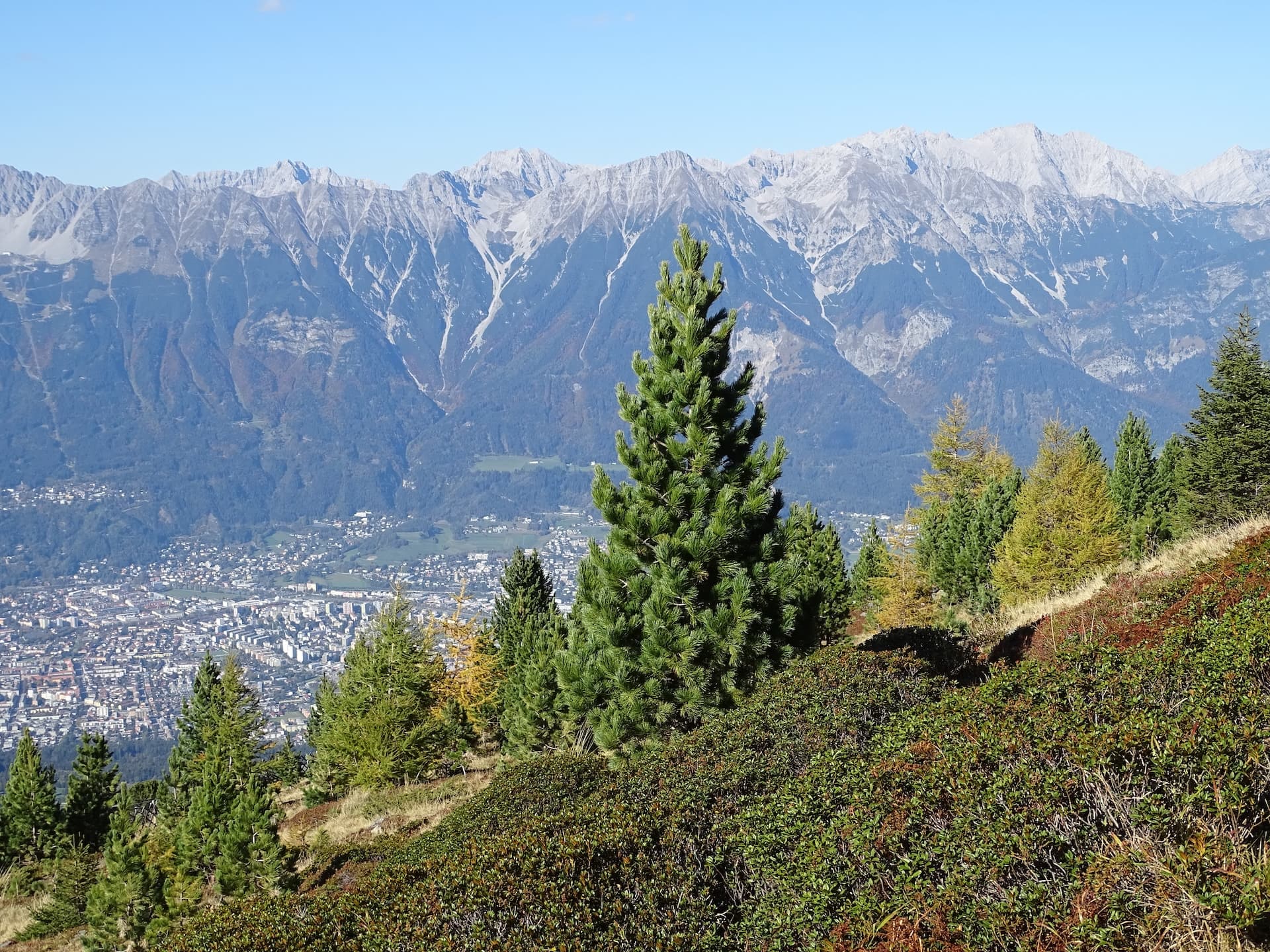 Alpine view of Innsbruck city below rugged mountains from Zirbenweg hiking trail