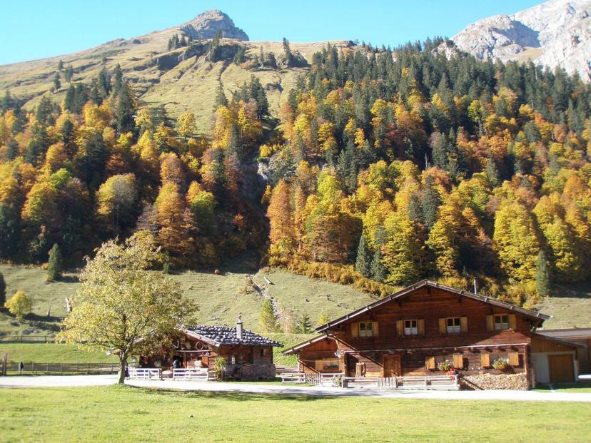 Binsalm hut image 1