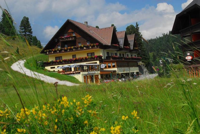 Hotel Turracherhof image 1