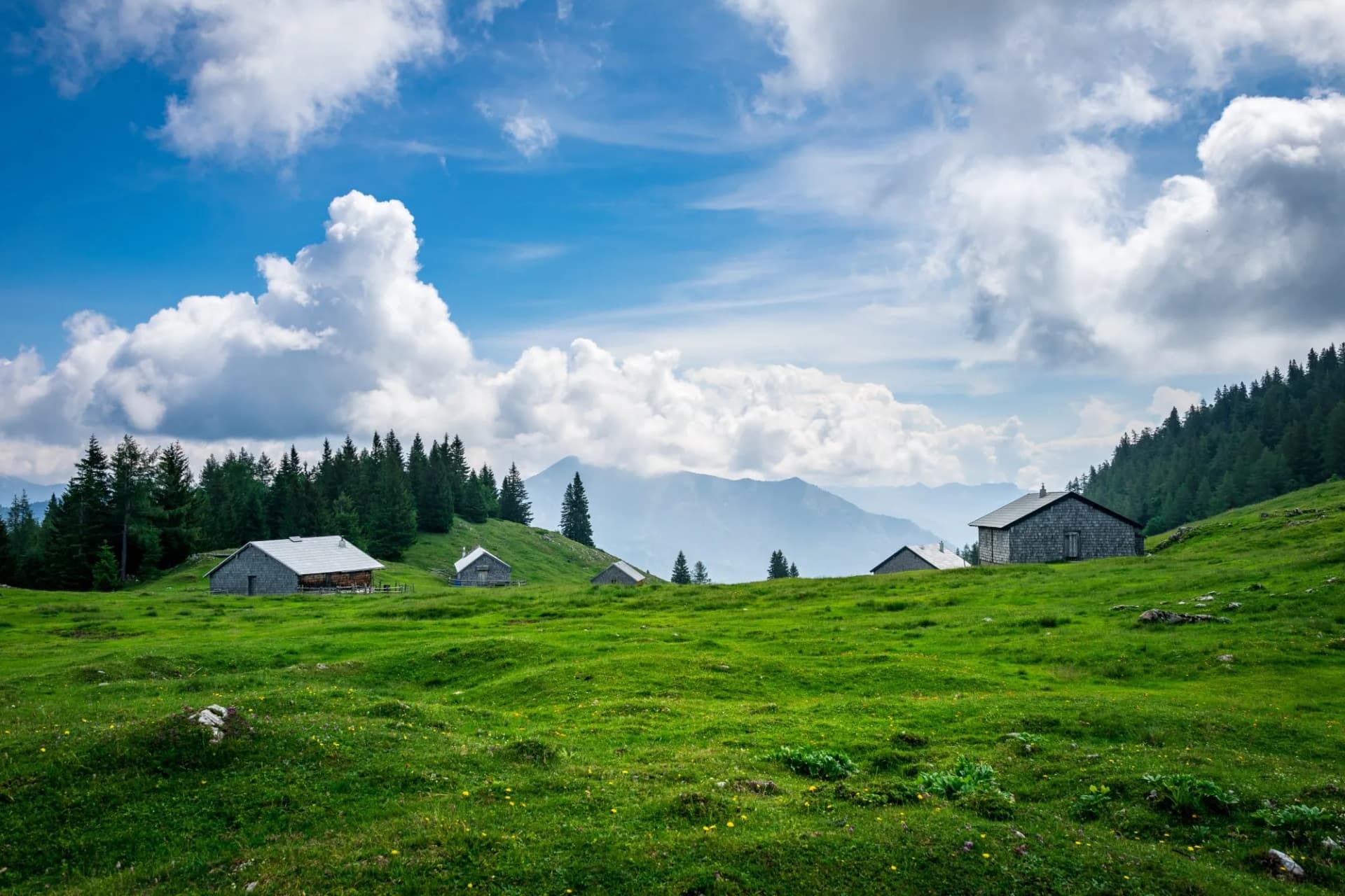 Am Gipfel auf einer Alm mit Hütten und Wiese am Vormauerstein in Österreich mit Wolken am blauen Himmel