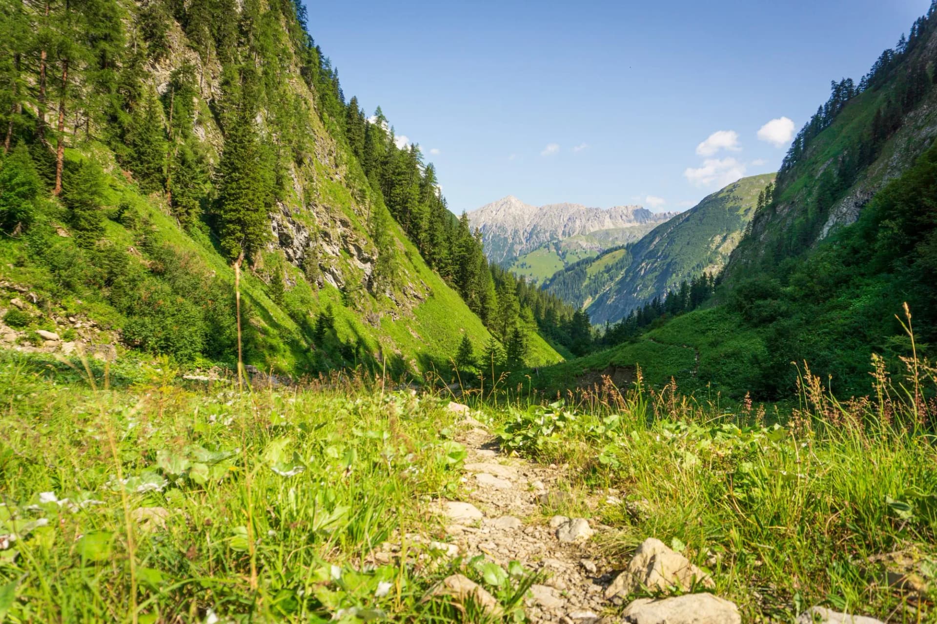 Panoramic view in the mountains of lech valley, Tyrol, Austria