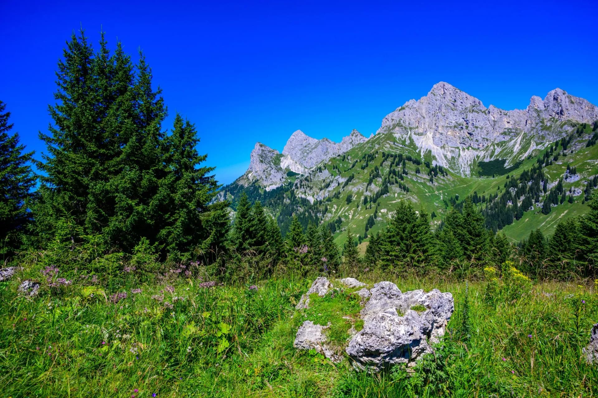 Beautiful Mountain scenery at Reutte in Alps, Tyrol, Austria.
