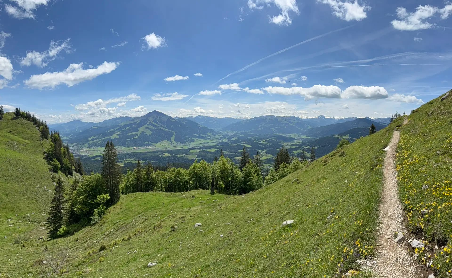 Hiking trail on a grassy alpine mountainside overlooking a valley with distant mountain peaks under a blue sky.