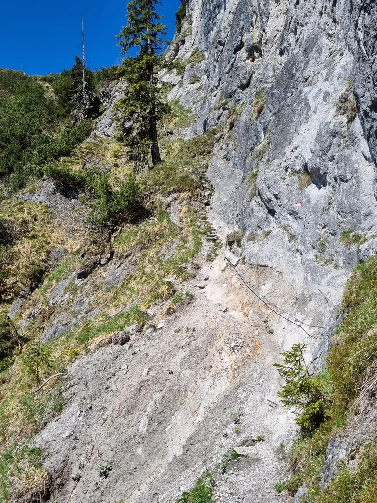Narrow mountain hiking trail with a steel safety cable along a steep rocky cliff face.