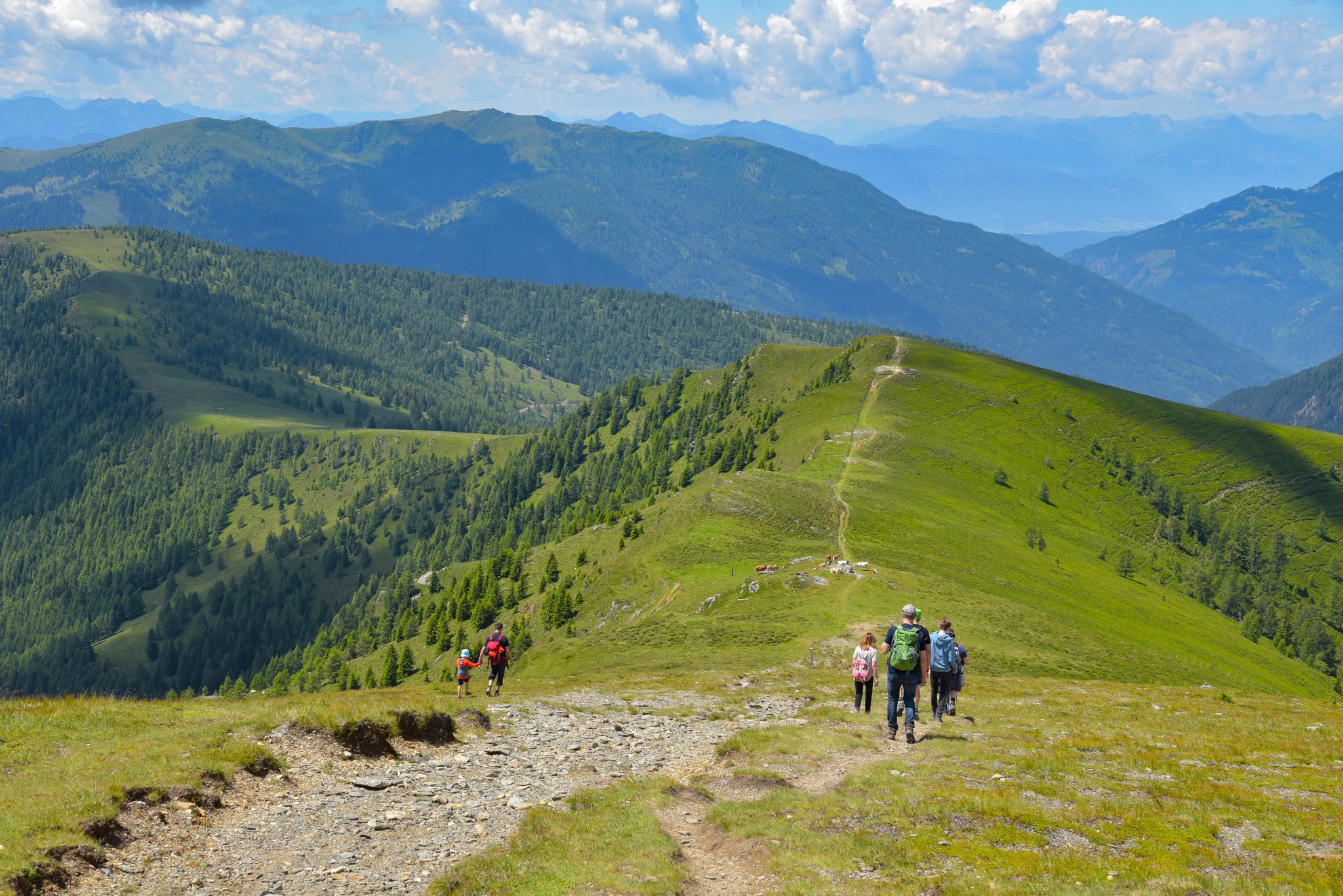 Wanderung in den Nockbergen / Kärnten