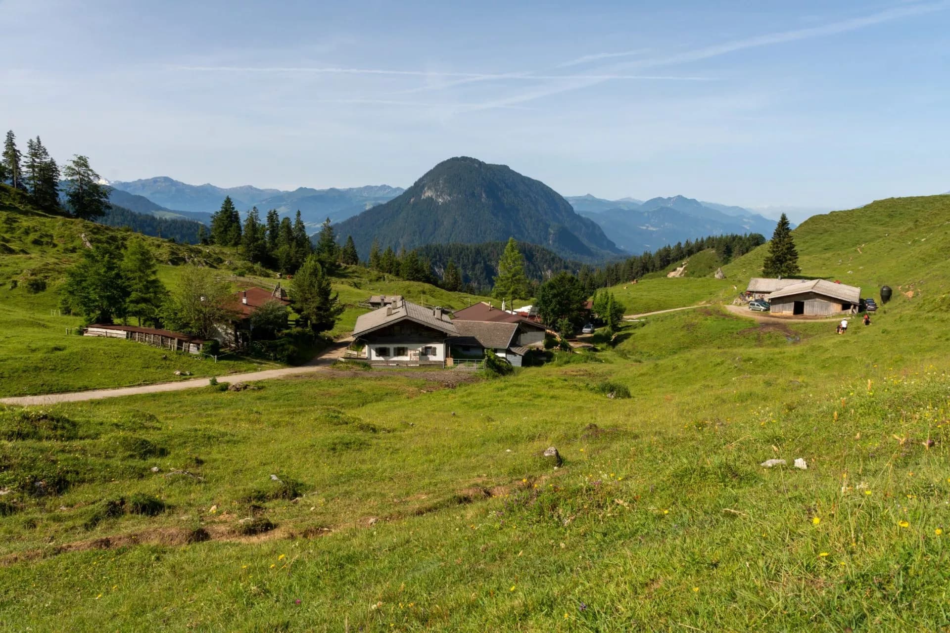 Scheffau, Austria - June 18, 2022: Mountain pasture of Walleralm