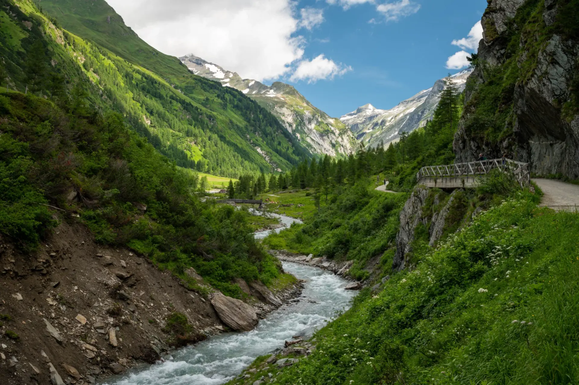 Valley in the Austrian alps in summer on a sunny day