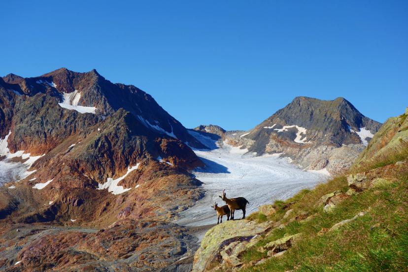 Wilder Freiger Peak image 1