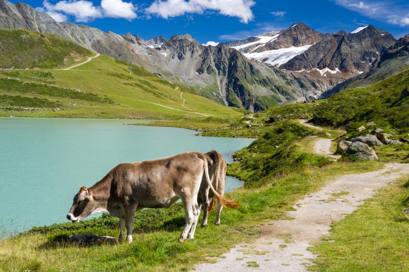 Pitztal Glacier image 1