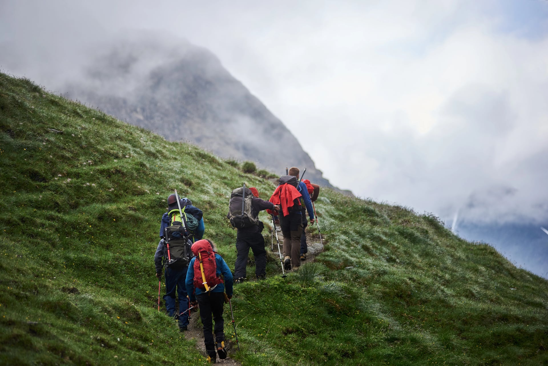 Rückansicht von Touristen mit Rucksäcken, die Trekkingstöcke benutzen, während sie den grasbewachsenen Hügel erklimmen. Gruppe aktiver Menschen, die auf einem Weg gehen und zu einem nebligen Berg aufbrechen. Konzept von Wandern und Rucksackreisen.