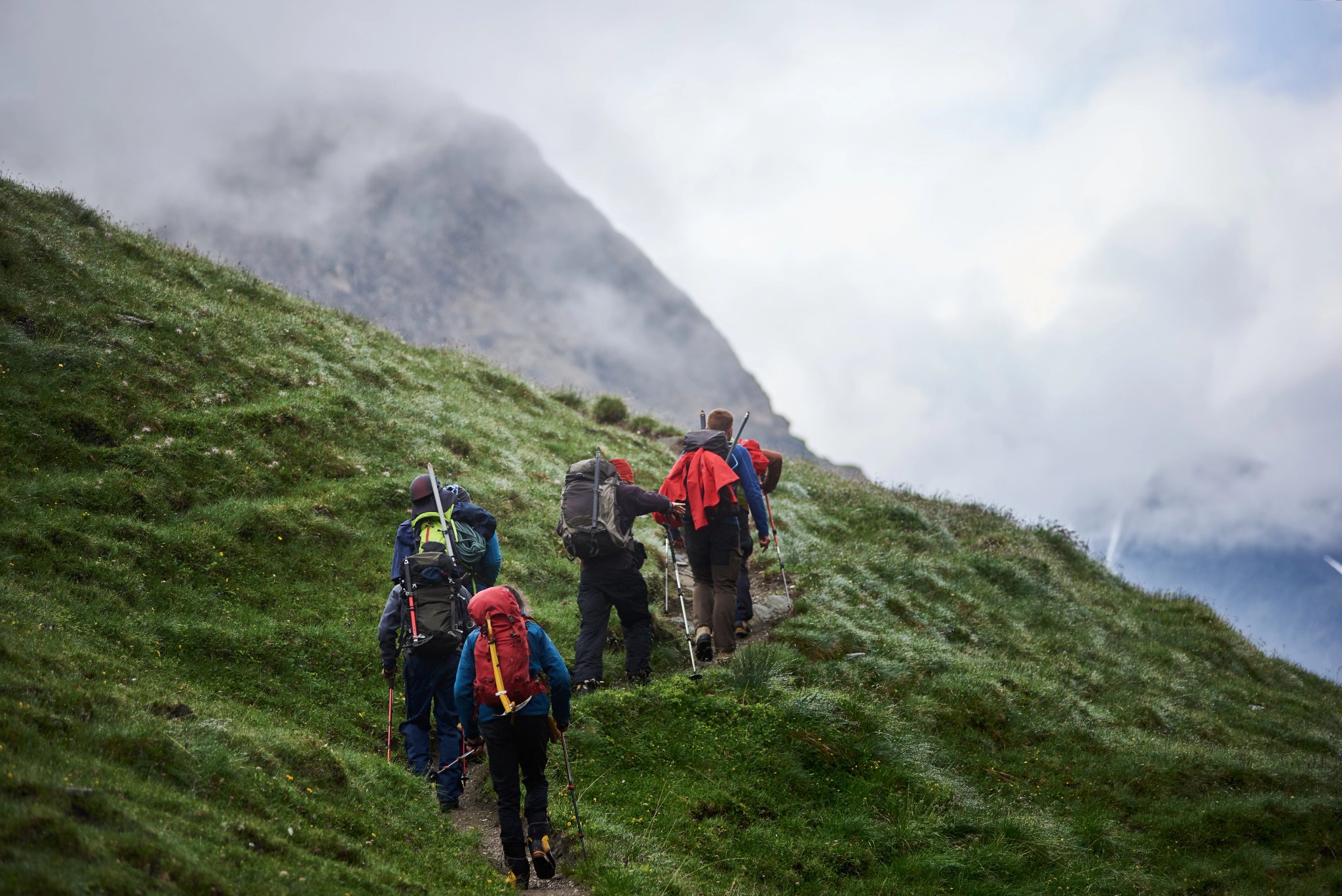 Vue arrière de touristes avec des sacs à dos utilisant des bâtons de trekking tout en grimpant la colline herbeuse. Groupe de personnes actives marchant sur le chemin et se dirigeant vers une montagne brumeuse. Concept de randonnée et de backpacking.