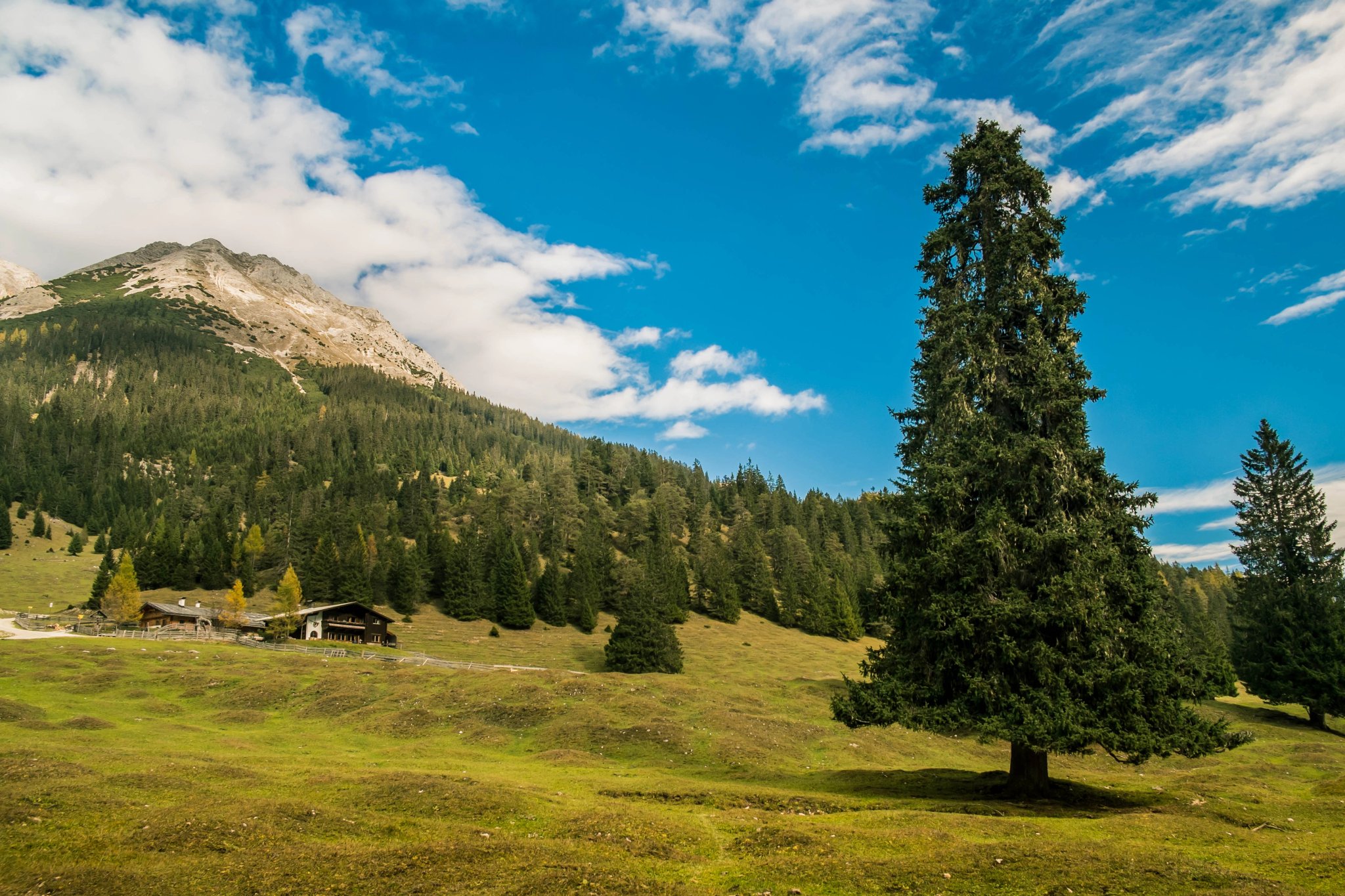 Blick über die Gaistalalm zum Predigtstuhl