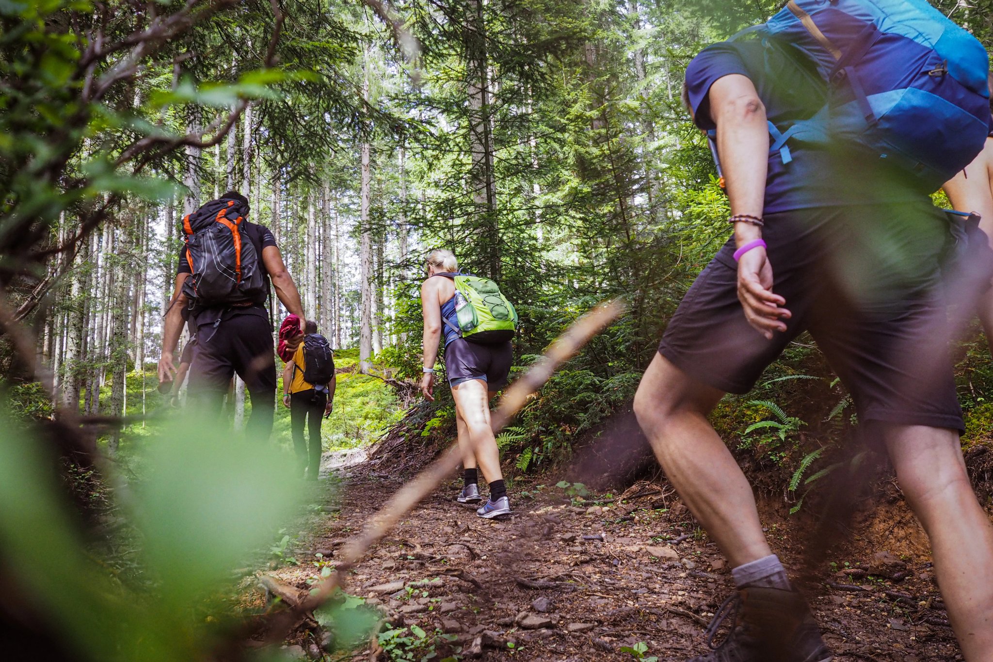 groupe de personnes sportives de dos en train de randonner à travers la forêt entourée de nombreuses feuilles vertes