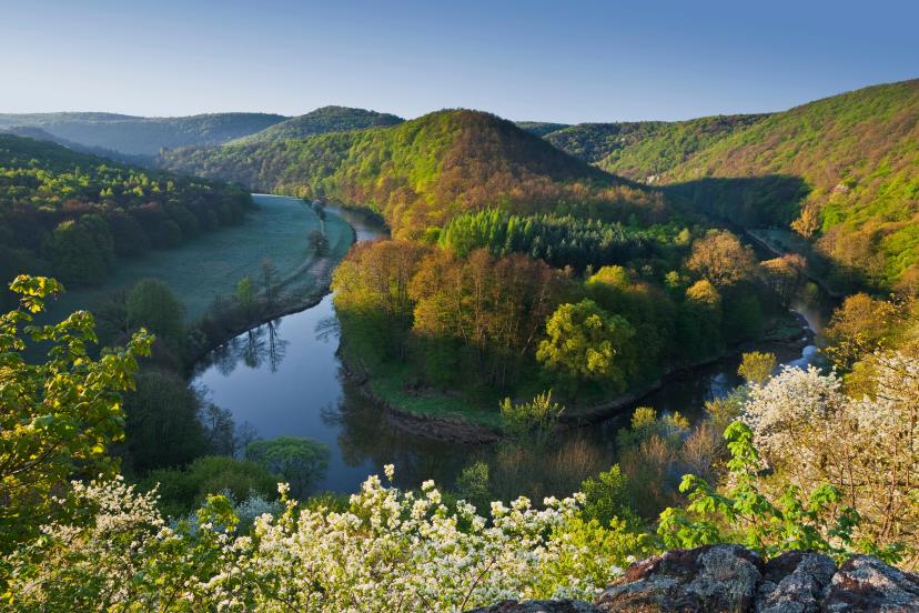 Národní park Thayatal image 1