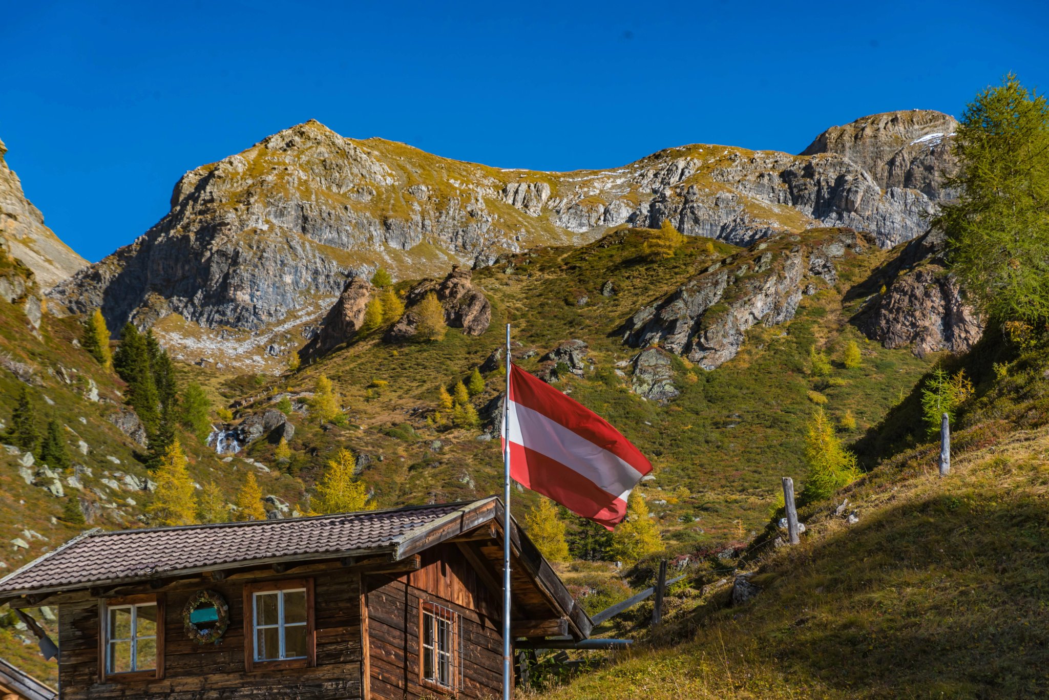 alpine pasture in tyrol with tyrolean flag