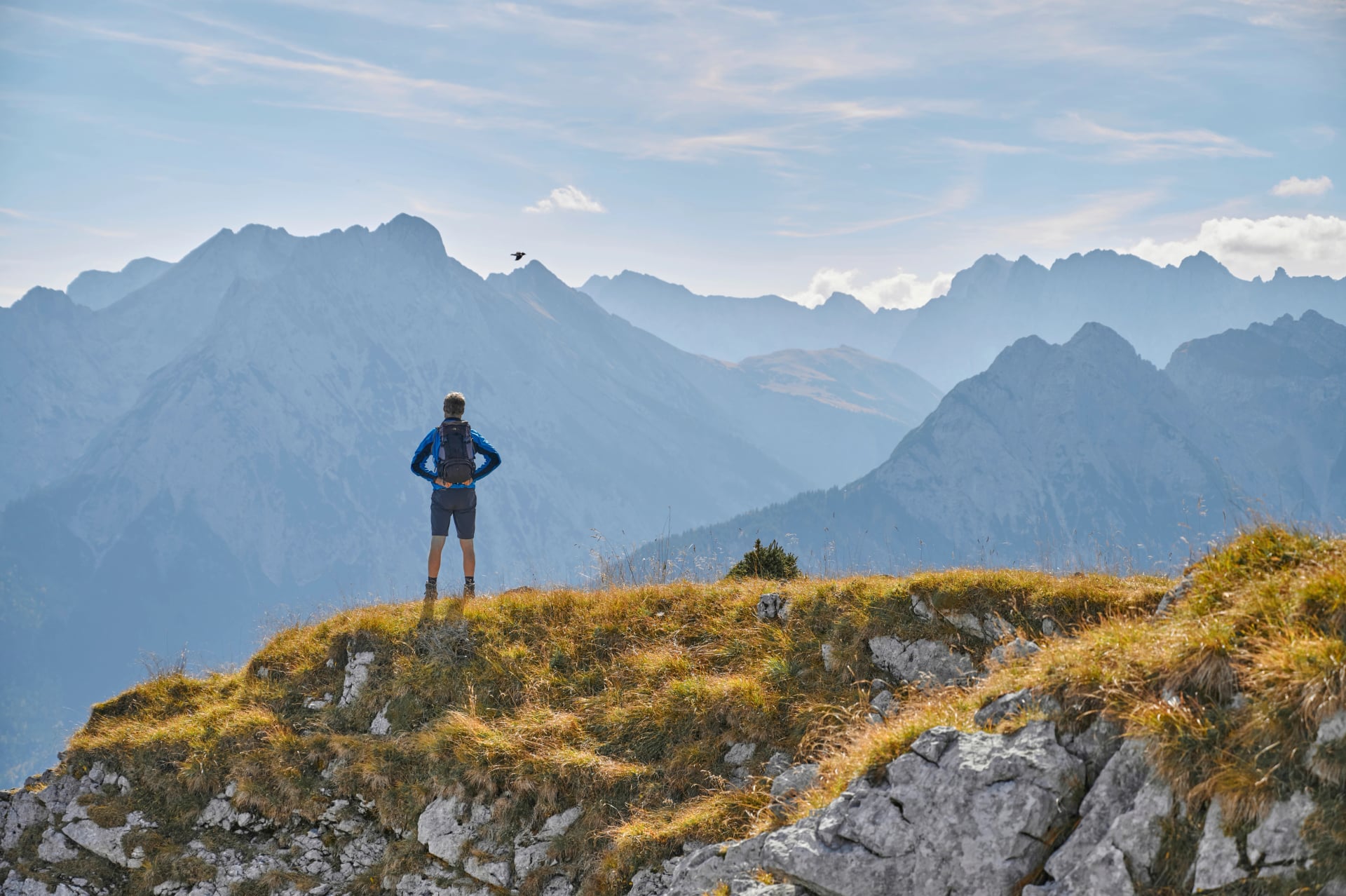 Uomo in cima a una montagna in autunno, montagne Karwendel, Tirolo, Austria