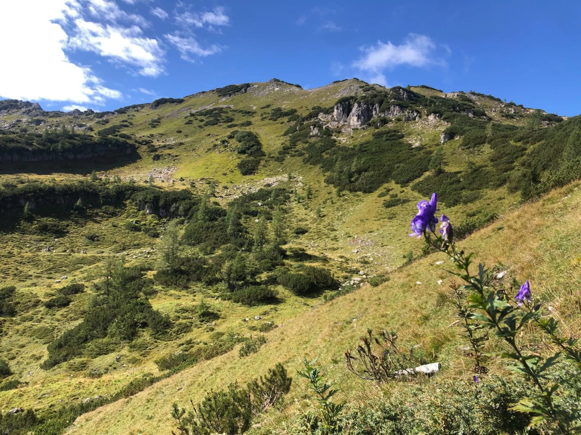 Wanderung Zauchensee