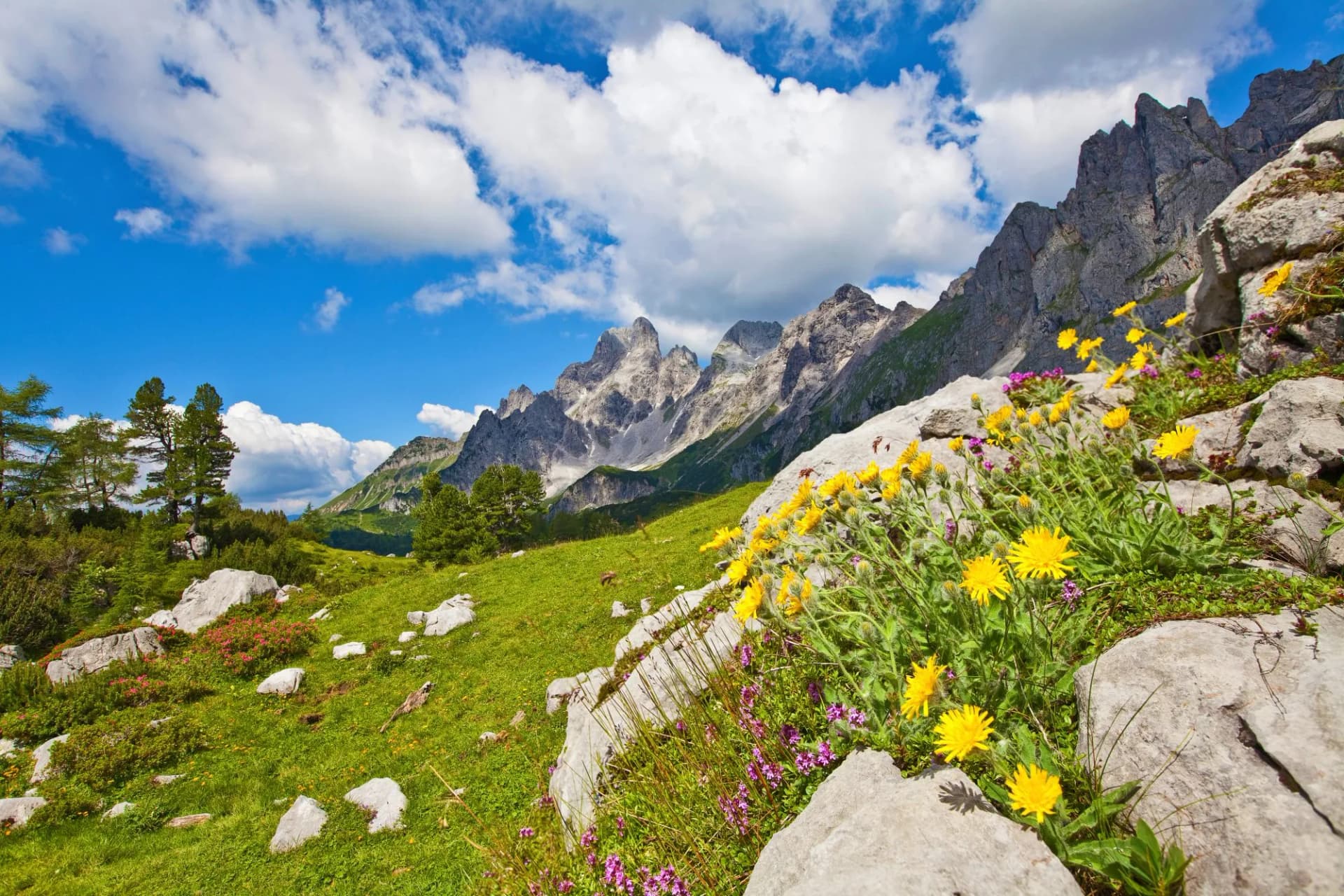 Die Bischofsmütze in Filzmoos
