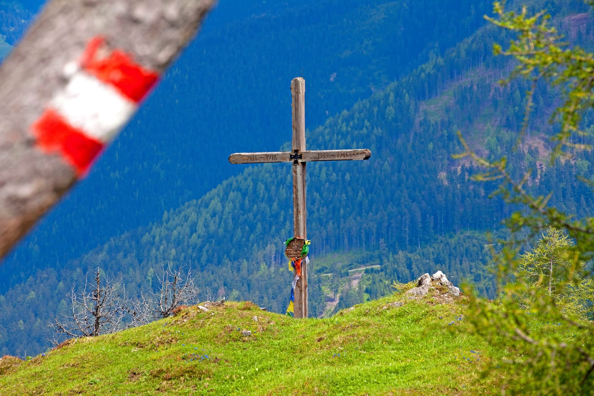 Summit cross on grassy alpine meadow overlooking dense blue forest in St. Martin im Tennengebirge.