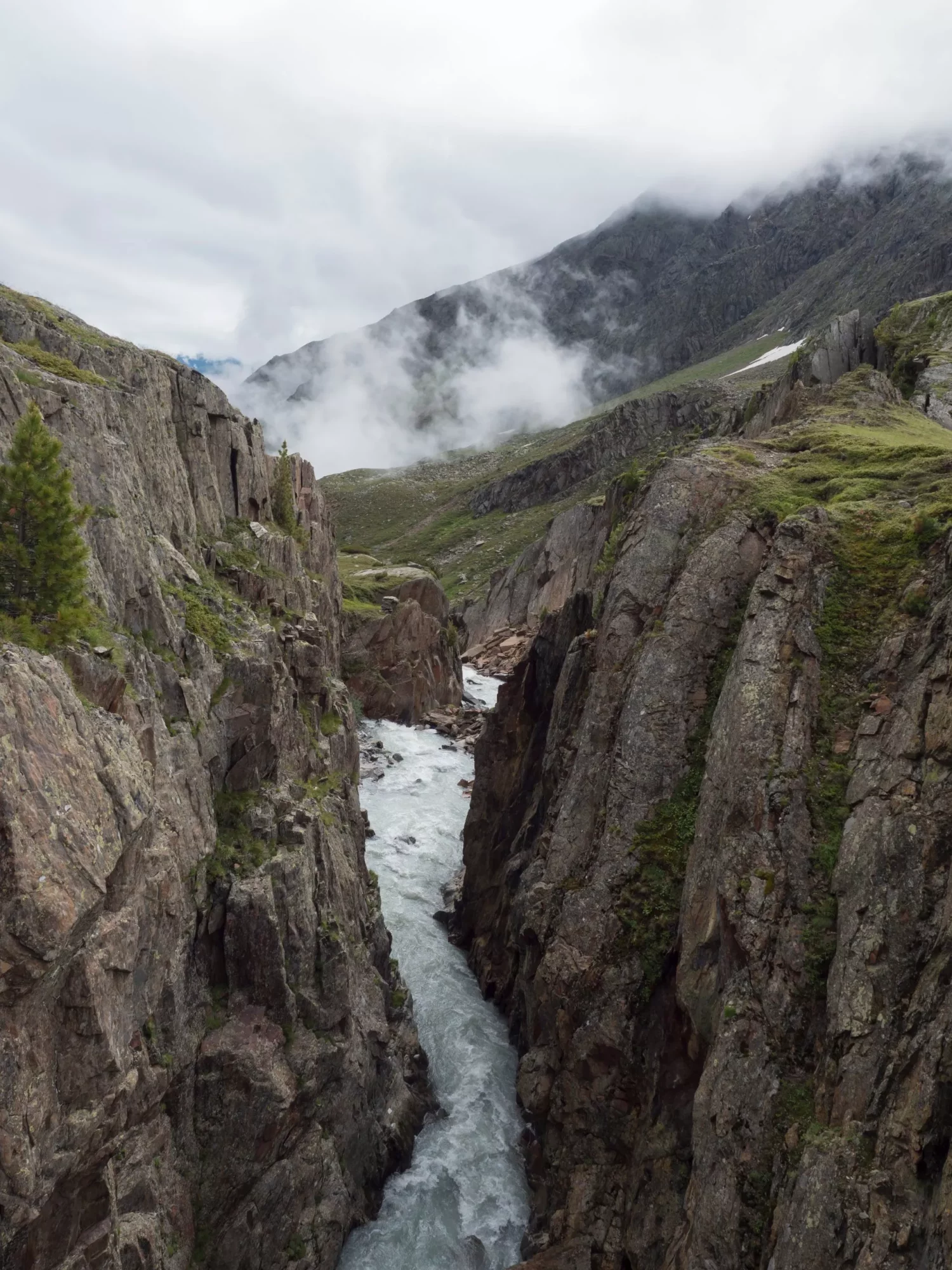 Vista dalla passerella sul selvaggio torrente Fernaubach in Tirolo, Austria, vicino alla Mittelstation di Stubai. Mattina di nebbia estiva.