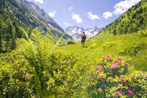 Zillertaler Alpen
