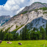 Naturpark Karwendel Kastenalm