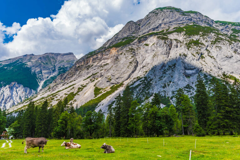 Naturpark Karwendel Kastenalm